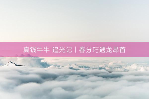 真钱牛牛 追光记丨春分巧遇龙昂首